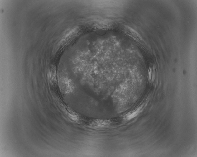 X0000066541251200604071633