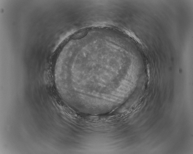 X0000066541256200604071633