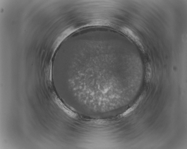 X0000066541276200604071633
