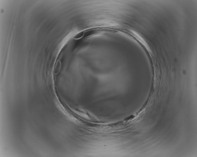 X0000066541291200604071632