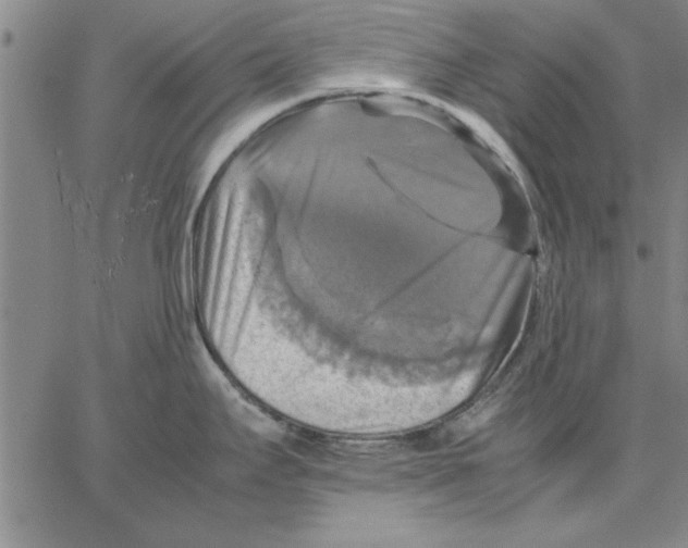 X0000066541295200604071632
