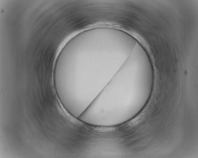 X0000066541296200604071632