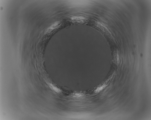 X0000066541297200604071632