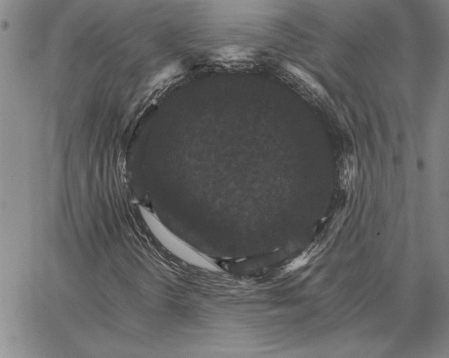 X0000066541298200604071632
