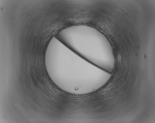 X0000066541300200604071632