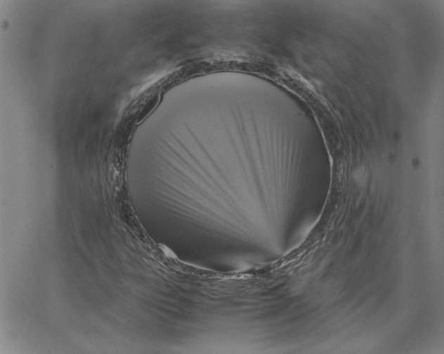 X0000066541303200604071632