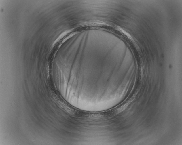 X0000066541306200604071632