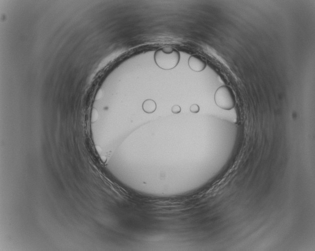 X0000066541315200604071632