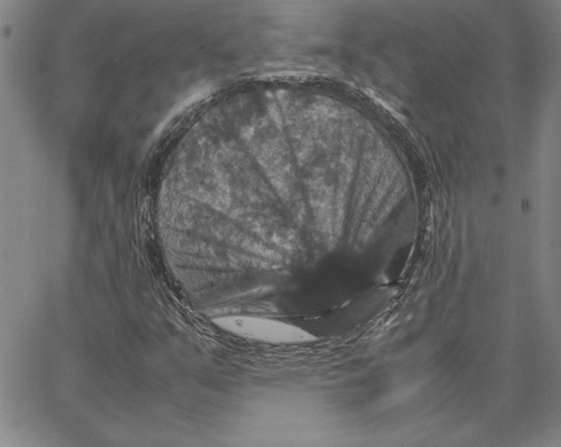 X0000066541351200604071631