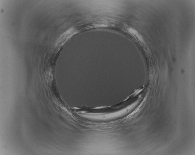 X0000066541353200604071631