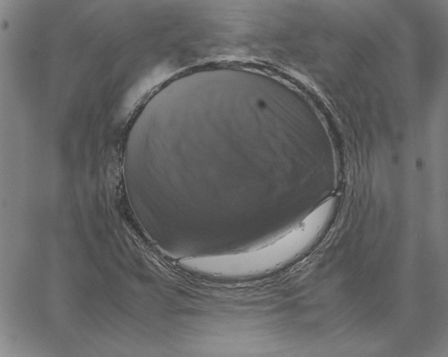 X0000066541359200604071631