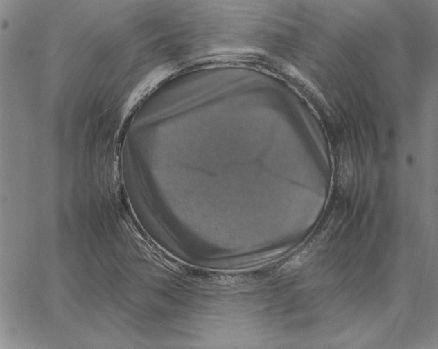 X0000066541362200604071631