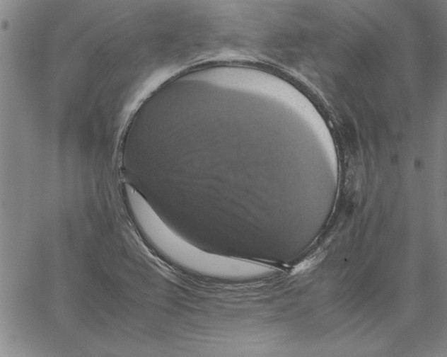 X0000066541367200604071631