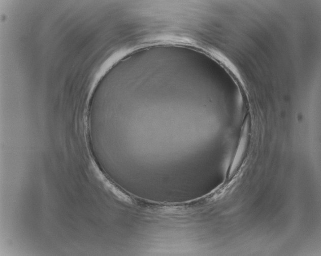 X0000066541381200604071631