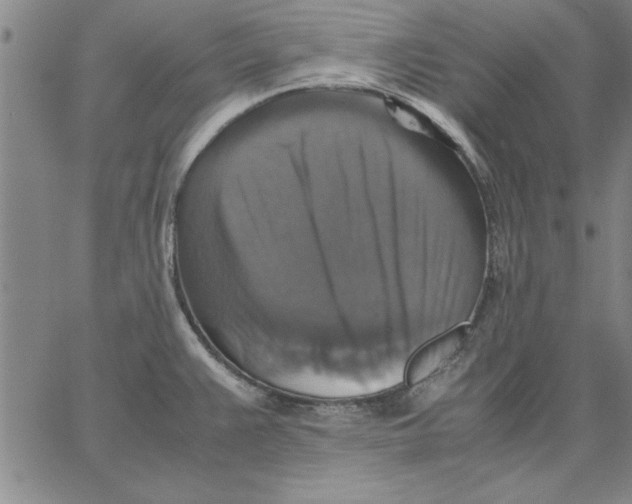 X0000066541383200604071631