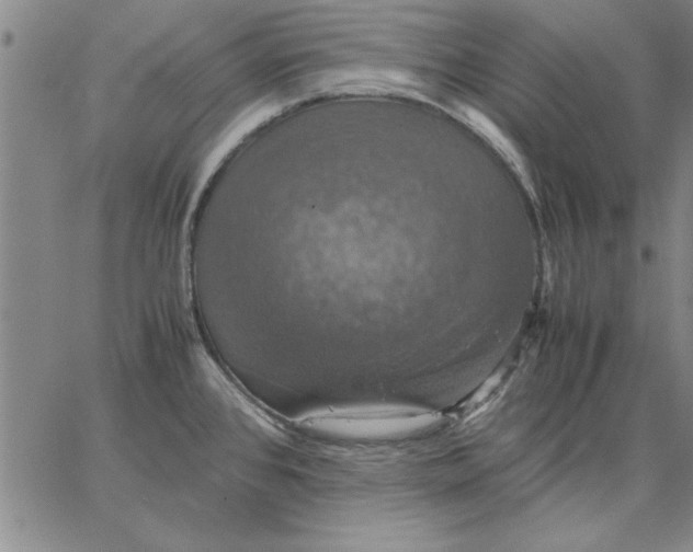 X0000066541384200604071631