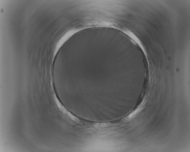 X0000066541389200604071631