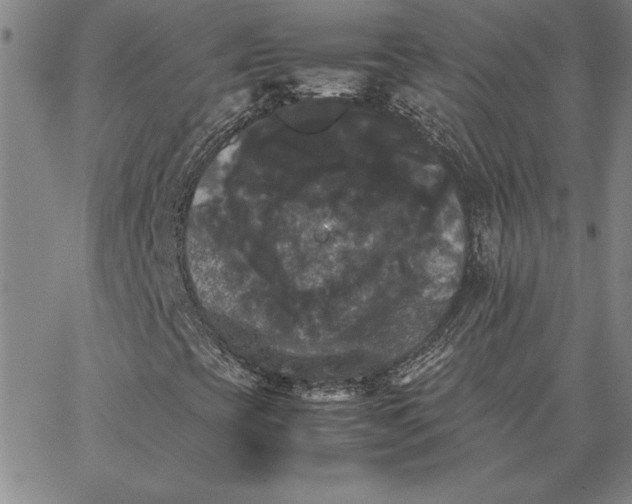 X0000066541393200604071630