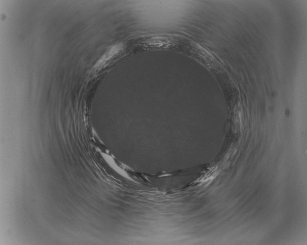 X0000066541394200604071630