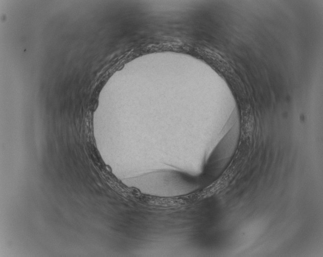 X0000066541397200604071630