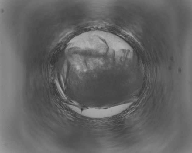 X0000066541399200604071630