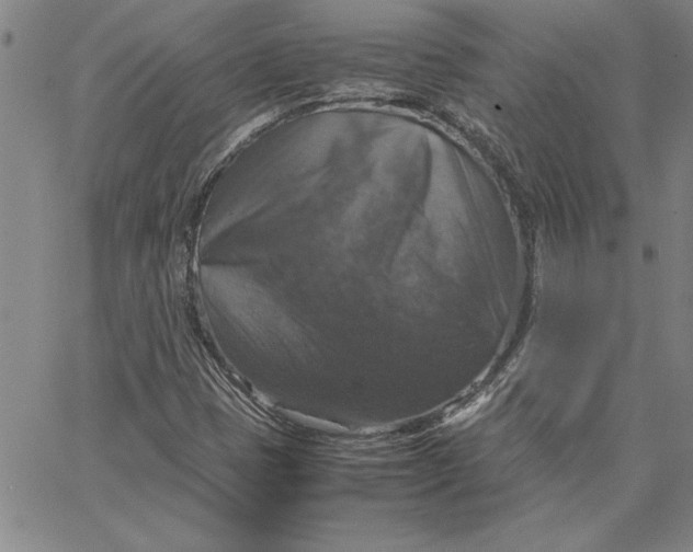 X0000066541401200604071630