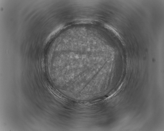 X0000066541403200604071630