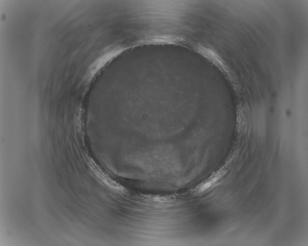 X0000066541404200604071630