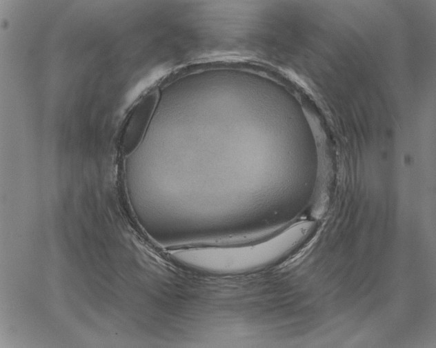 X0000066541406200604071630