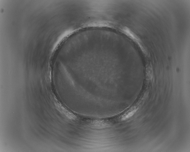 X0000066541408200604071630