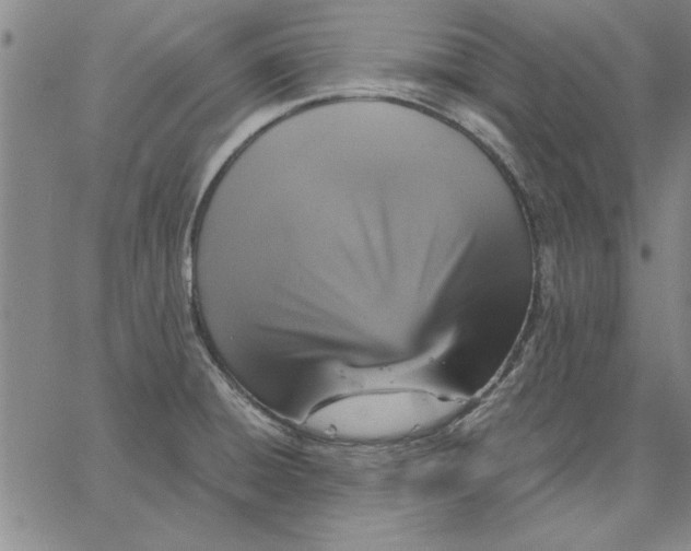 X0000066541428200604071631