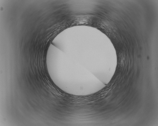 X0000066541442200604071630