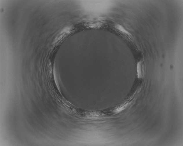 X0000066541443200604071630