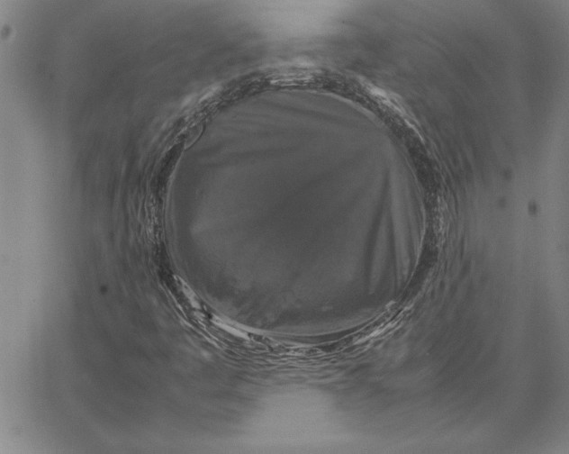 X0000066541445200604071630
