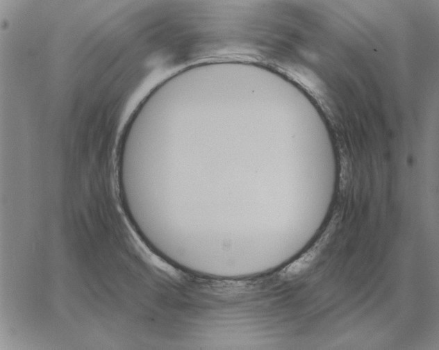 X0000066541470200604071629