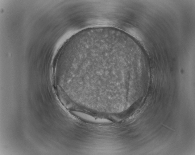 X0000066541472200604071629