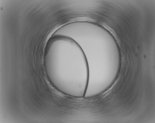 X0000066541473200604071629