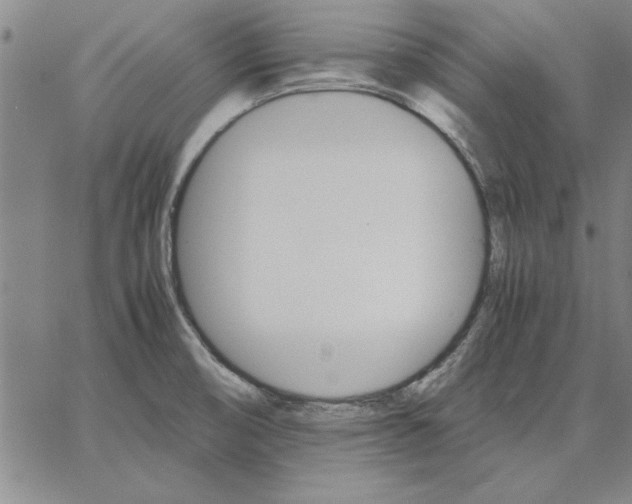 X0000066541474200604071629