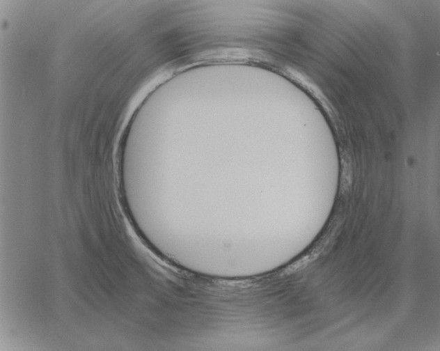 X0000066541475200604071629