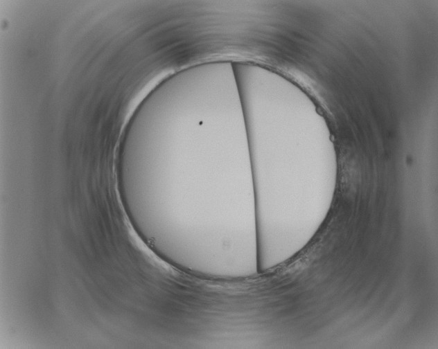 X0000066541476200604071629