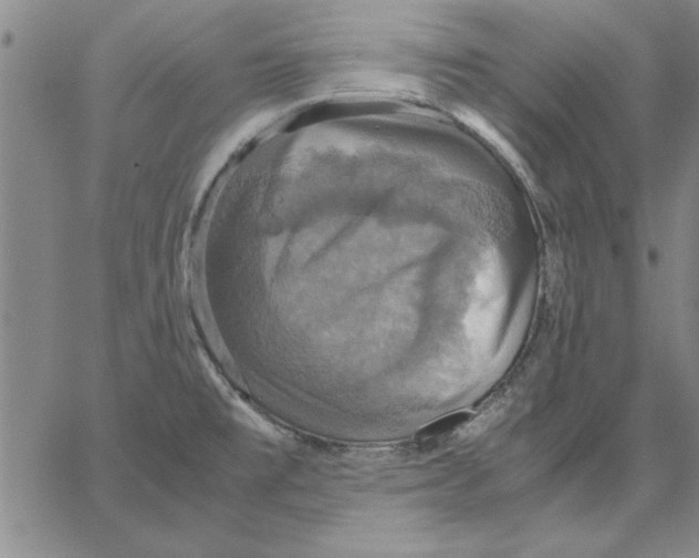 X0000066541477200604071629