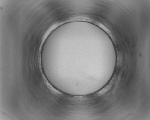 X0000066541478200604071629