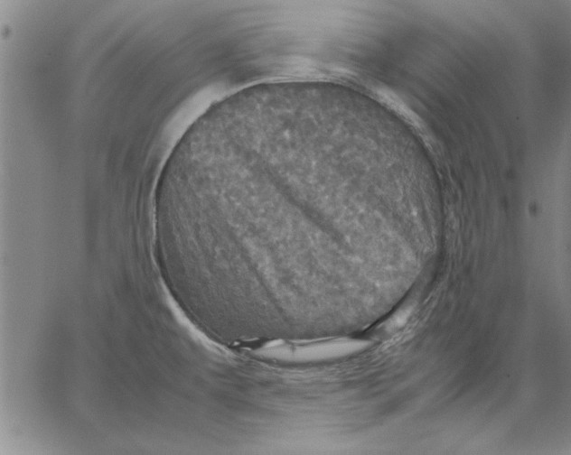 X0000066541479200604071629