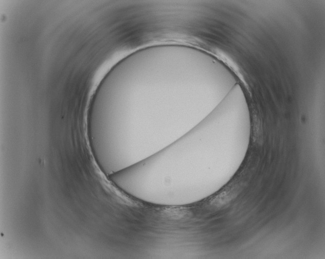 X0000066541480200604071629