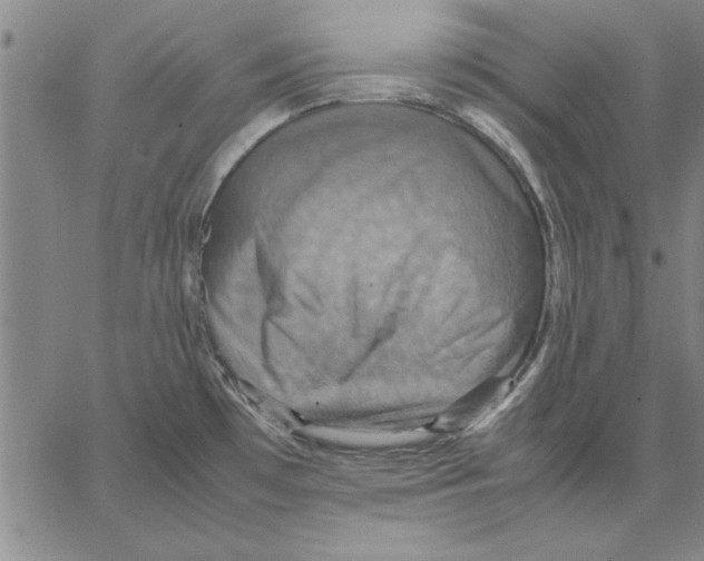 X0000066541481200604071629