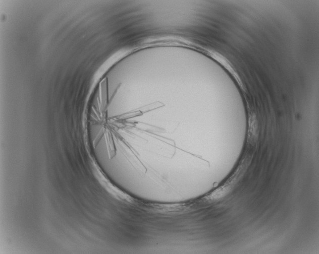 X0000066541482200604071629