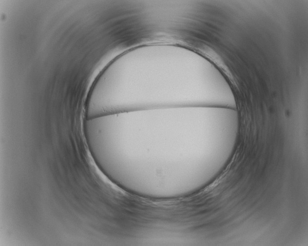 X0000066541484200604071629