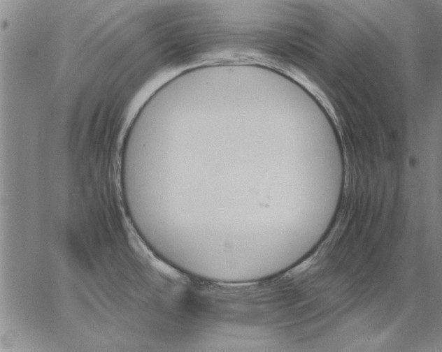 X0000066541486200604071629