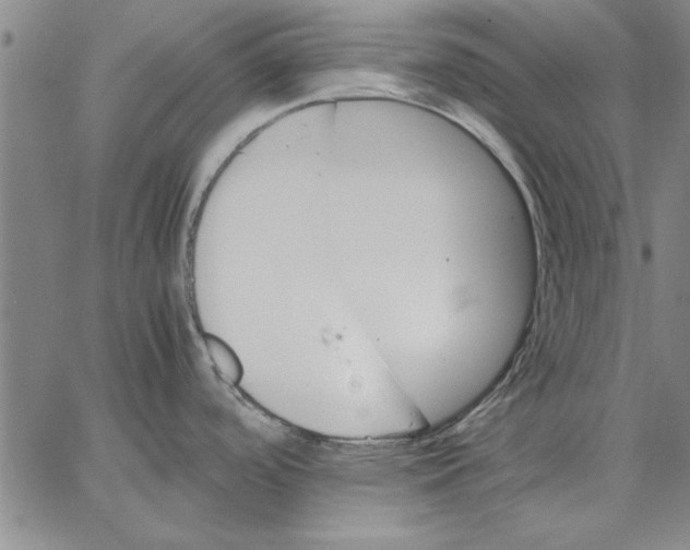 X0000066541488200604071629