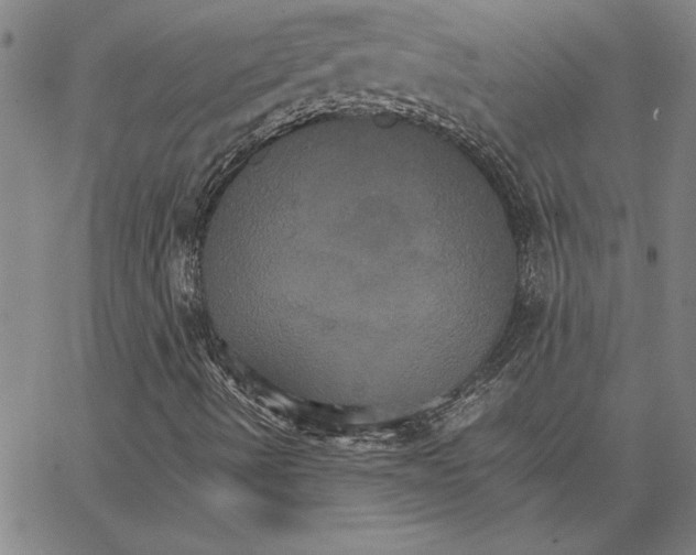 X0000066541490200604071628